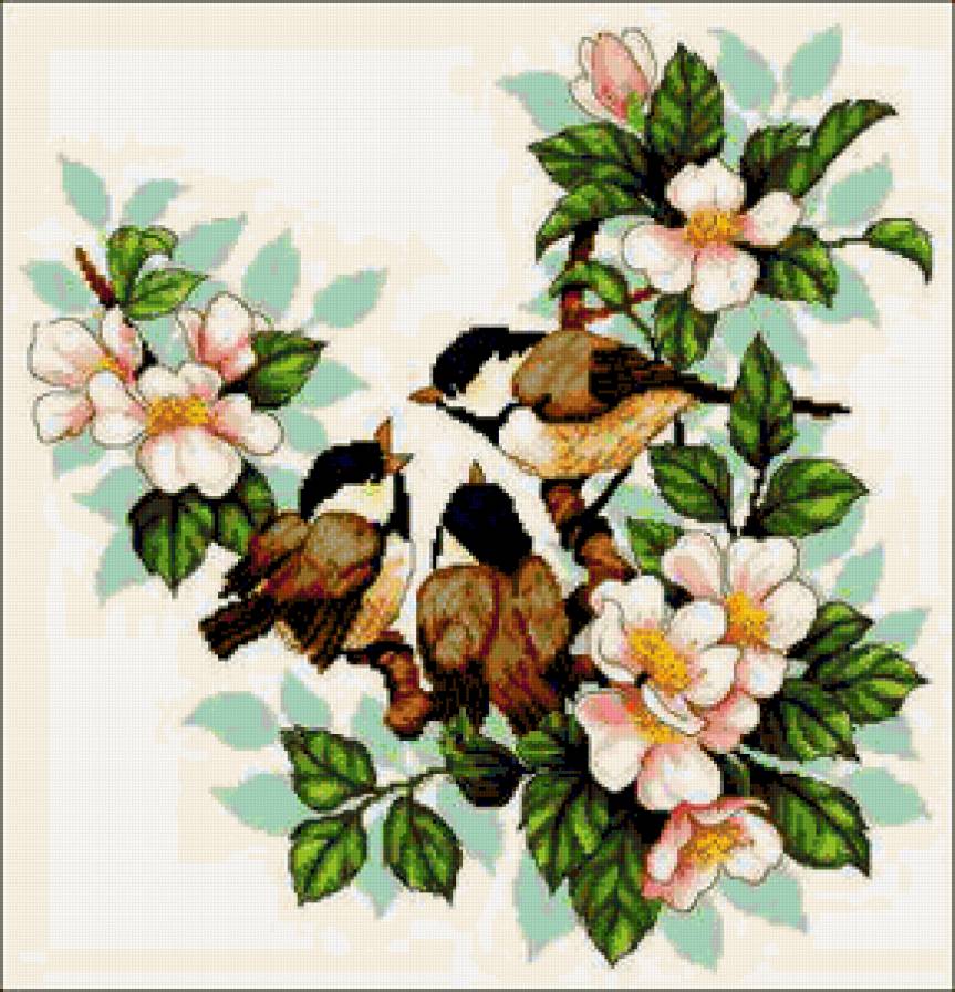 Птички)) - птицы - предпросмотр