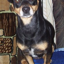 Схема вышивки «кузема»