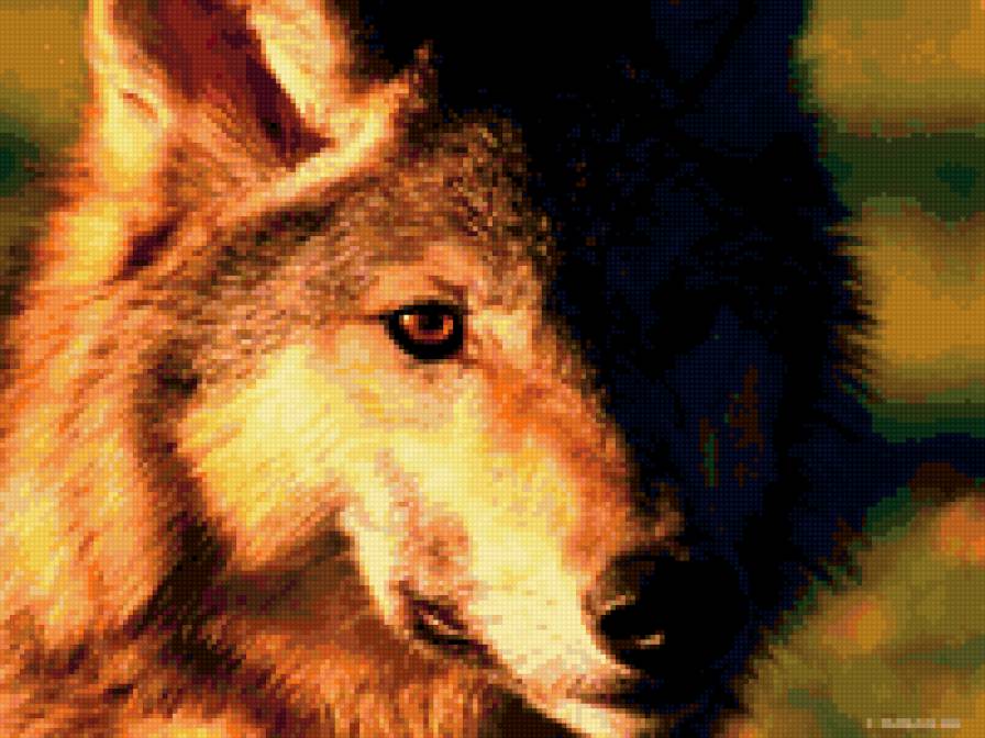 волк2 - предпросмотр