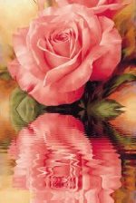 Схема вышивки «розы»