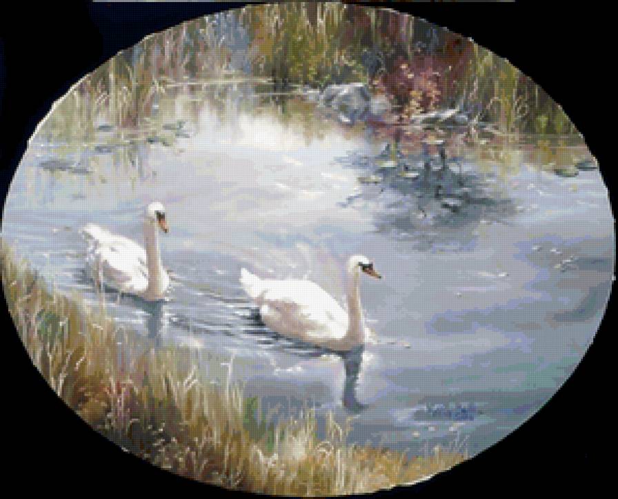 Серия "Птицы" - пейзаж, лето, птицы, река, лебеди - предпросмотр