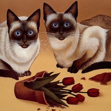 Схема вышивки «№257755»