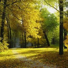 Схема вышивки «№257757»