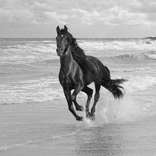 Схема вышивки «Скакун»