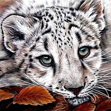 Схема вышивки «Взгляд»