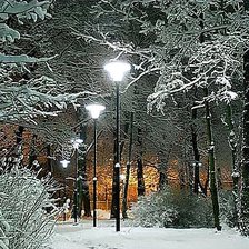 Схема вышивки «Ночная аллея»