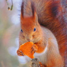 Схема вышивки «№257988»