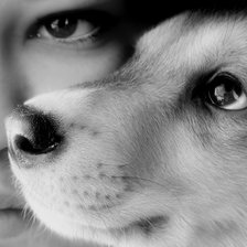 Схема вышивки «Друзья»