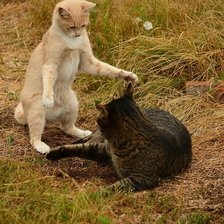 Схема вышивки «я жду»