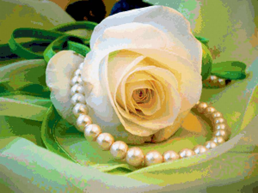 Розы и жемчуг - украшения, жемчуг, розы, цветы - предпросмотр