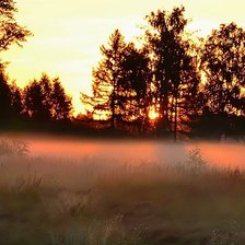 Схема вышивки «утро туманное»