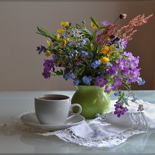 полевые цветы