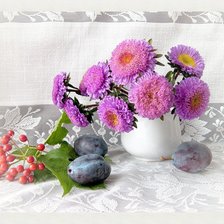 Схема вышивки «астры»