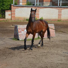 Схема вышивки «Мерин Артист»
