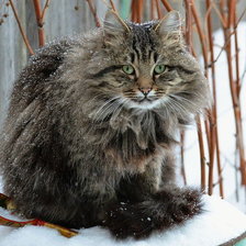 Схема вышивки «№258225»