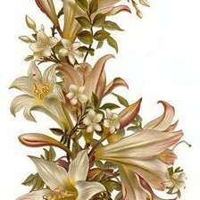 Схема вышивки «№258257»