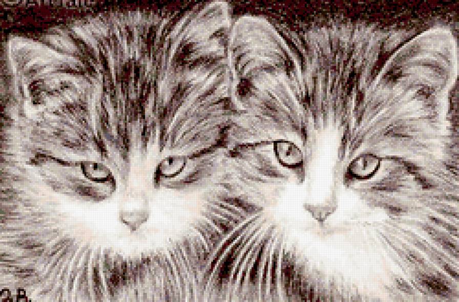 №258258 - предпросмотр