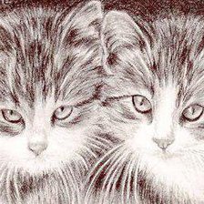 Схема вышивки «№258258»