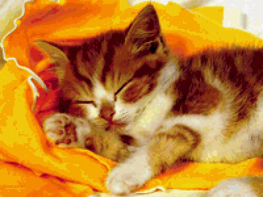 Серия КОШКИ. Котенок на желтом - коши, котята, животные - предпросмотр