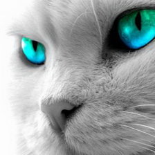 Схема вышивки «Серия КОШКИ. Взгляд»