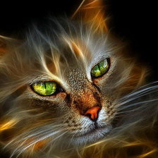 Схема вышивки «Серия КОШКИ. котенок»