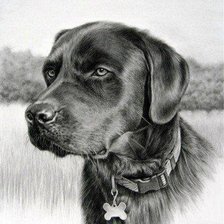 Схема вышивки «портрет»