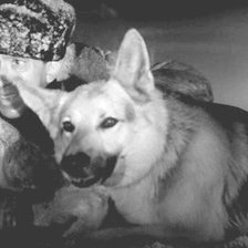 Ко мне, Мухтар!