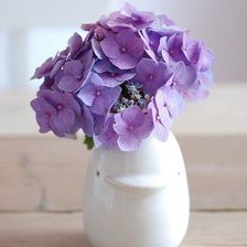 Схема вышивки «Фиалки»