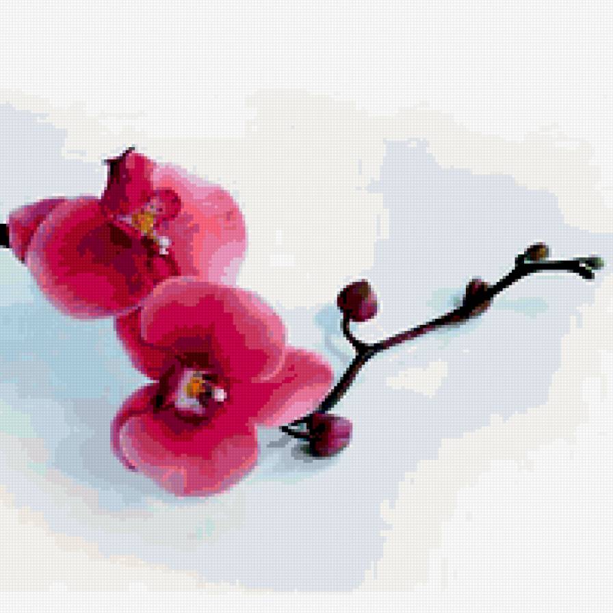 орхидея - цветы, цветок, орхидея, природа - предпросмотр