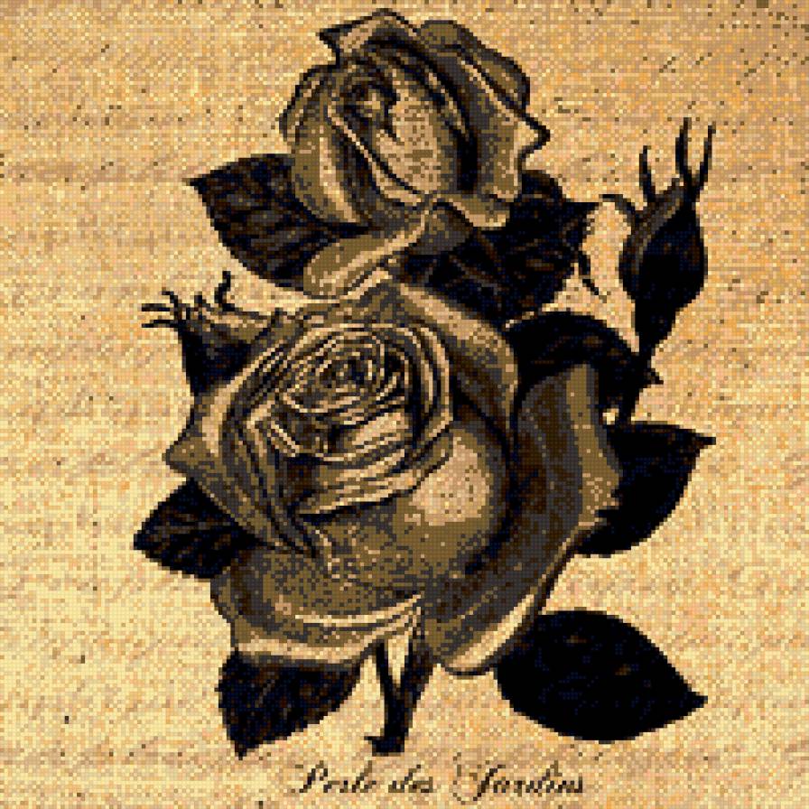 Монохром - цветы, роза, цветок, розы, монохром - предпросмотр