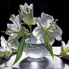 Схема вышивки «№258535»