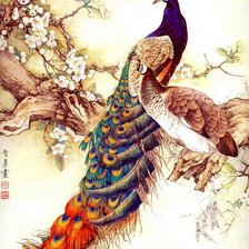 Схема вышивки «№6»