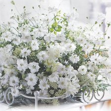 Схема вышивки «белый натюрморт»