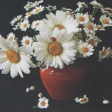 Схема вышивки «ромашки»