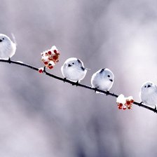 Схема вышивки «Lovely Birds»