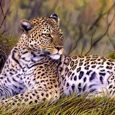 Схема вышивки «леопард»