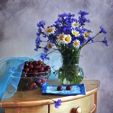 Схема вышивки «васельки»