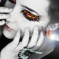 Схема вышивки «butterfly»