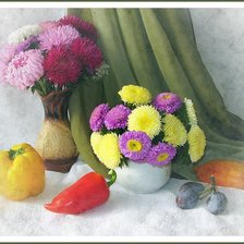 Схема вышивки «астры»