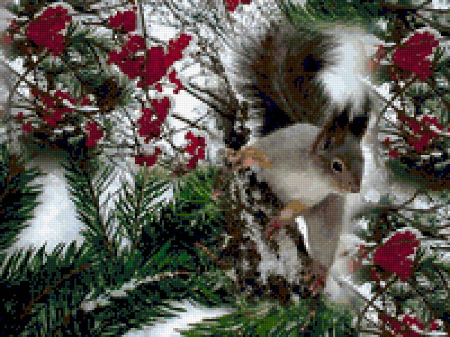 белочка - животные - предпросмотр