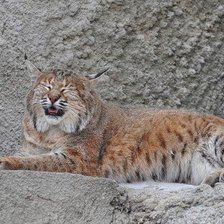 Схема вышивки «№259258»