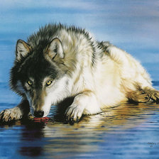 Схема вышивки «№259272»