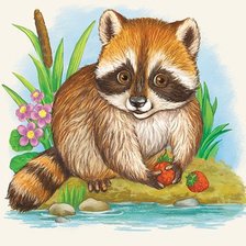 Схема вышивки «енот»