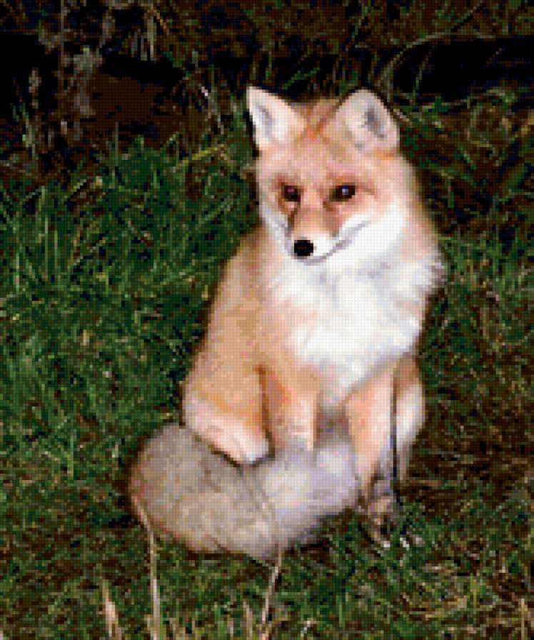 лиса патрикеевна - кошачьи - предпросмотр