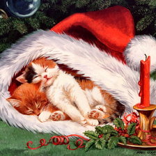 Схема вышивки «№259302»