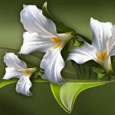 Схема вышивки «Цветы»