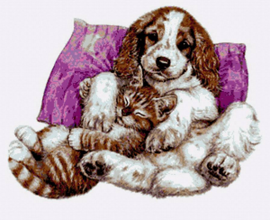 друзья - животные - предпросмотр