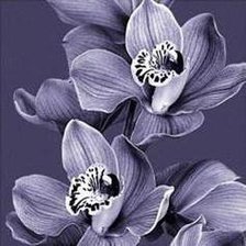 Схема вышивки «№259432»