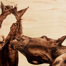 Схема вышивки «коні»