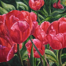 Схема вышивки «тюльпани»